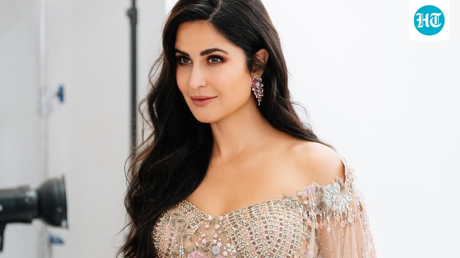 Is Katrina Kaif making a comeback after motherhood with Prabhas' Spirit? Here's the truth