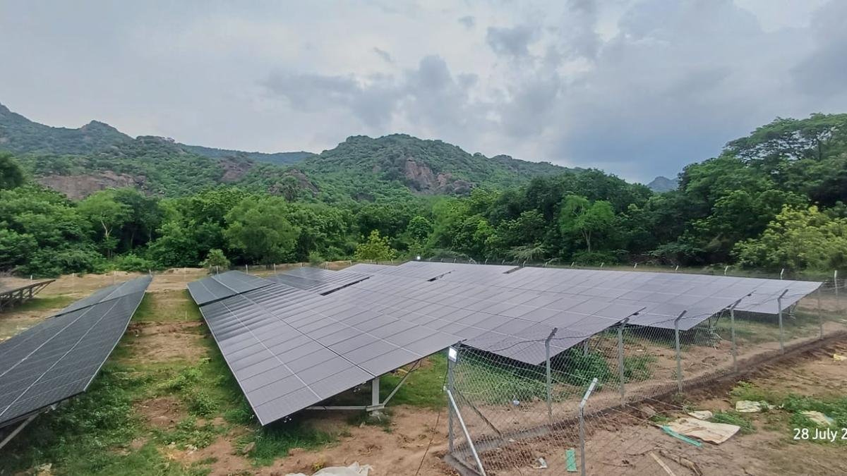 Solar plant set up to help SCCL subsidiary APHMEL save on its energy bill
