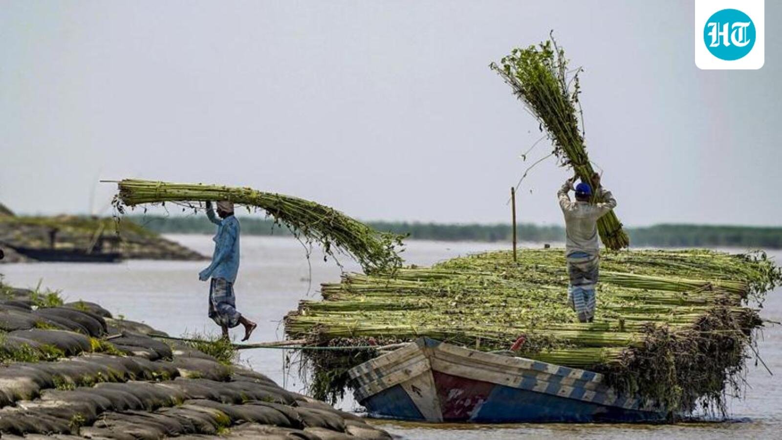 Assam govt gives  ₹15,000 each to 62,696 flood-affected families as relief payouts