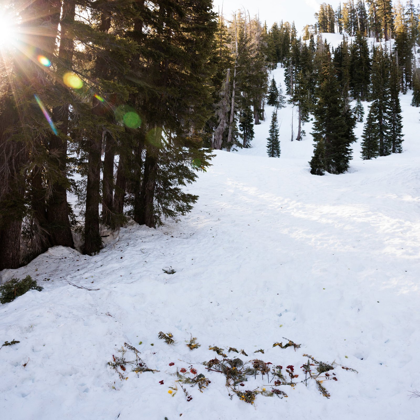 Blackbird Mountain Guides Report on Lake Tahoe Avalanche That Killed 9 Skiers Assigns No Blame.