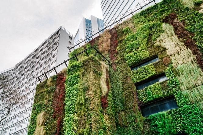 Hotels Should Audit Words Like “Green” And “Eco” Now Or Risk Penalties